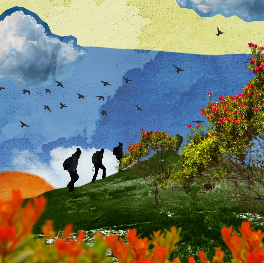 image-featured
